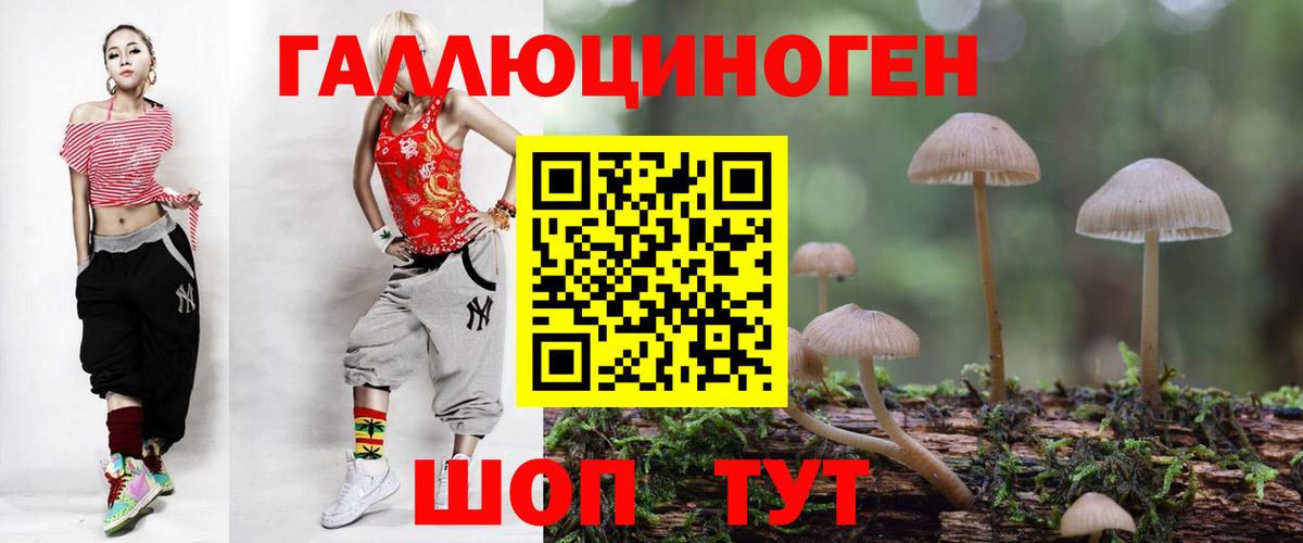 Балтийск  Псилоцибиновые грибы Psilocybe  Псилоцибиновые грибы мицелий  Вход с VPN 