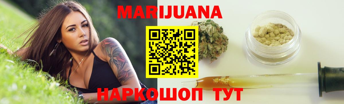 Каннабис индика Балтийск